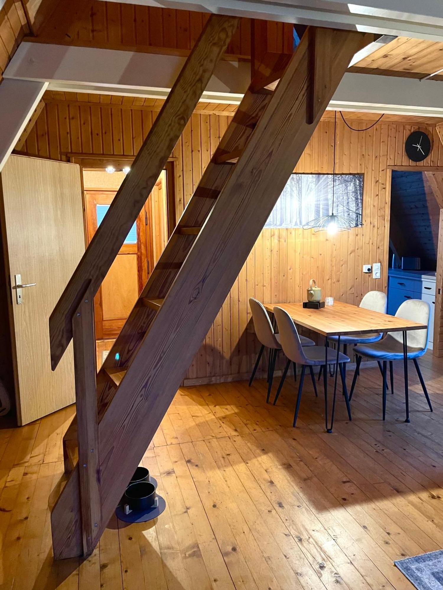 Nur-Dach-Haus Am Alfsee Rieste Екстериор снимка